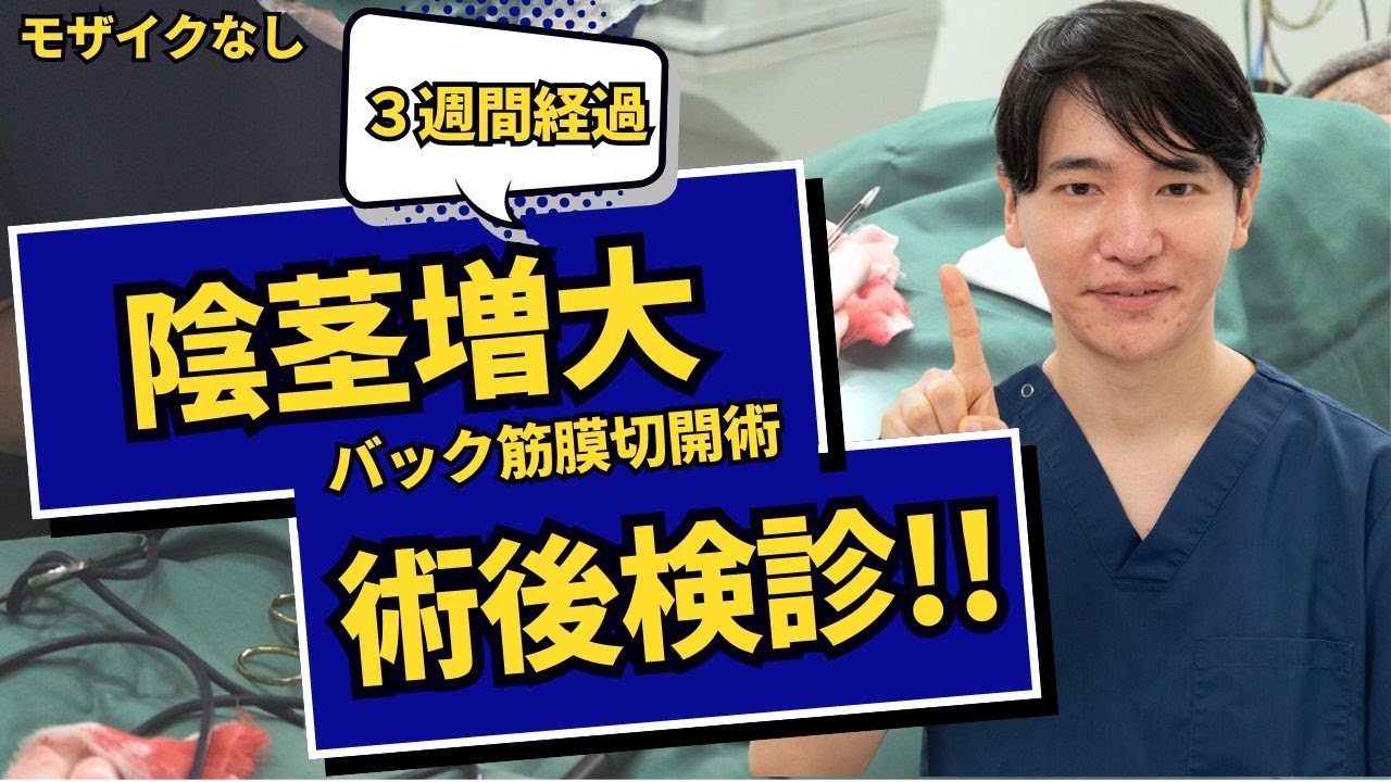 陰茎増大(バック筋膜切開術）術後3週間検診
